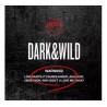 BTS- Dark & Wild