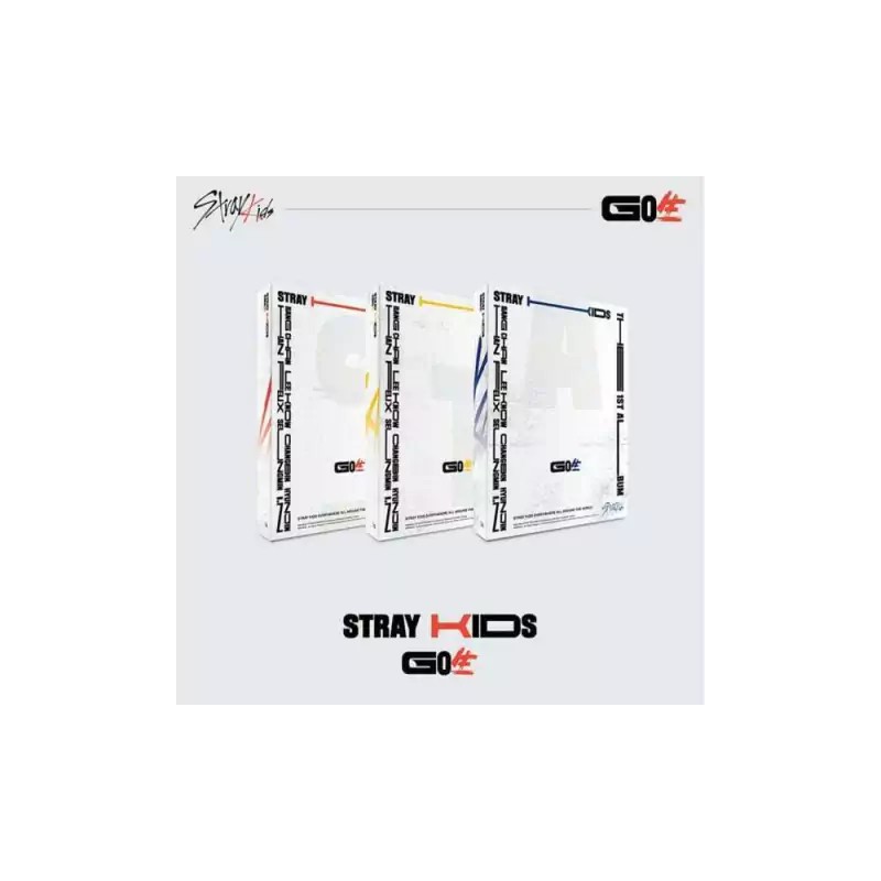 Stray Kids GO Live